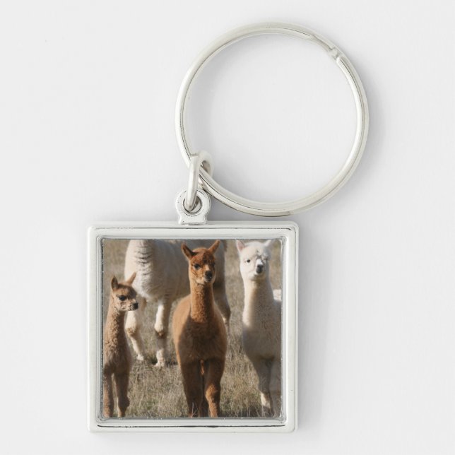 Adorable Alpacas Keychain (Front)