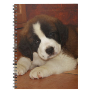 Adorable and Sweet St. Bernard Puppy Notebook