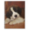 Adorable and Sweet St. Bernard Puppy