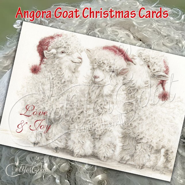 Adorable Angora Goat Christmas Trio  Card (Creator Uploaded)