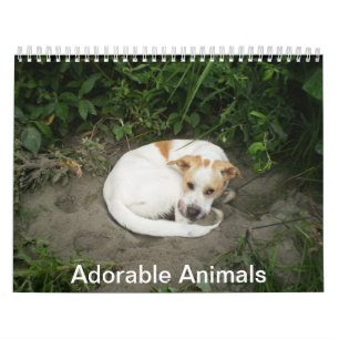 Adorable Animal Calendar