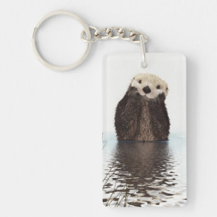 adorable animal de loutre moelleuse mignonne
