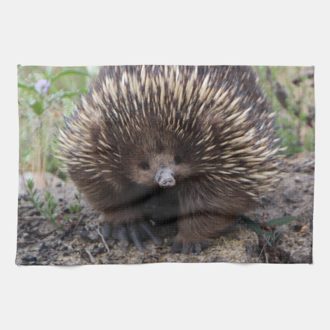 Adorable Australian Echidna Kitchen Towel (Horizontal)