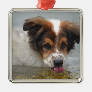 Adorable Australian Shepherd Metal Ornament