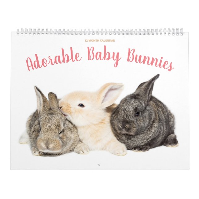 Adorable Baby Bunnies Calendar (Cover)