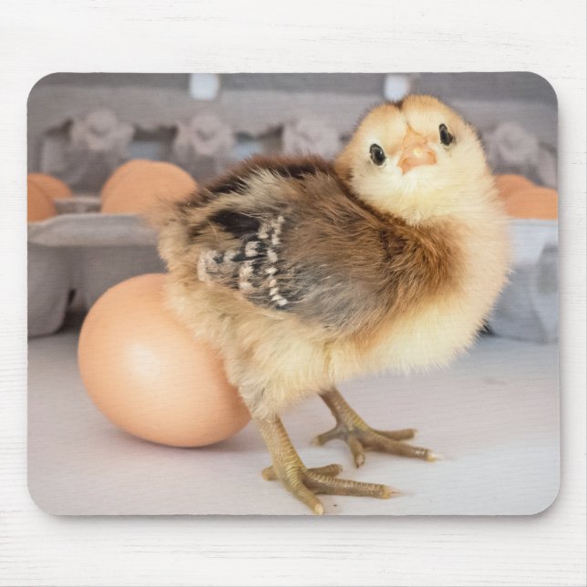 Adorable Baby Chicken and Fresh Egg Carton Mouse Pad (Front)