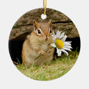 Adorable Baby Chipmunk with Daisy Ceramic Ornament
