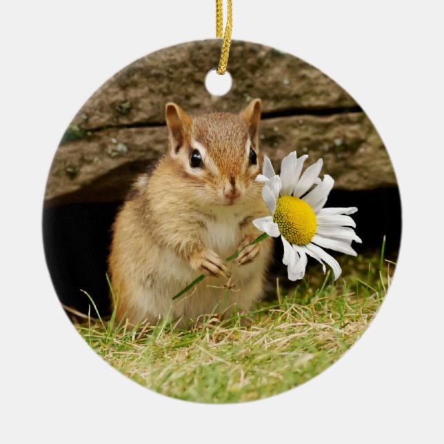 Adorable Baby Chipmunk with Daisy Ceramic Ornament (Front)