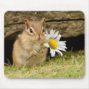 Adorable Baby Chipmunk with Daisy Mouse Pad