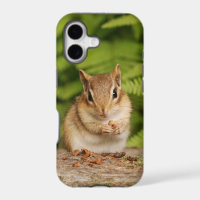 Adorable Baby Chipmunk with Snack