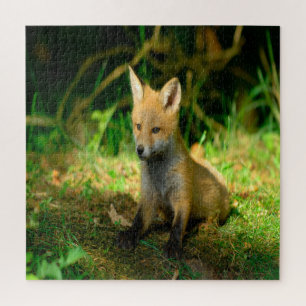 Adorable Baby Fox Jigsaw Puzzle