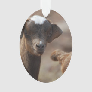 Adorable Baby Goat Ornament