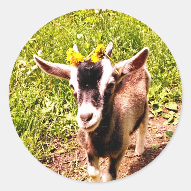 Adorable Baby Goat with Flowers Sheet of Stickers (Front)