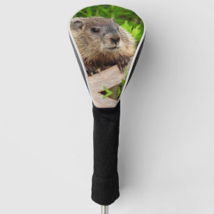 Adorable baby Groundhog / woodchuck Up Close Golf Head Cover