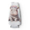 Adorable Baby Hippopotamus