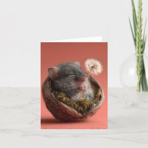 Adorable Baby Mouse Sleeping in a Walnut Shell Holiday Card
