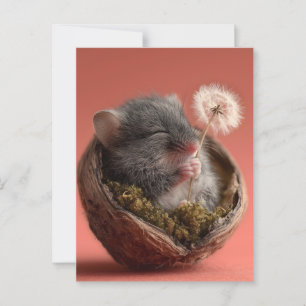 Adorable Baby Mouse Sleeping in a Walnut Shell Postcard