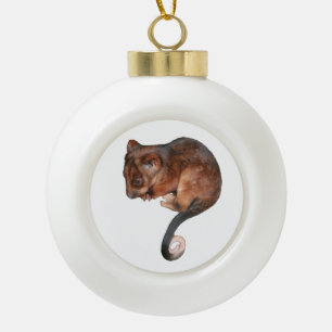Adorable Baby Ringtail Possum in Australia Ceramic Ball Christmas Ornament