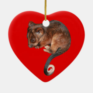 Adorable Baby Ringtail Possum in Australia Ceramic Ornament
