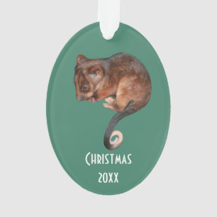 Adorable Baby Ringtail Possum in Australia Ornament