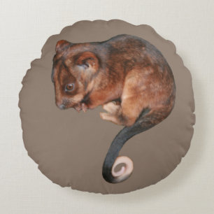 Adorable Baby Ringtail Possum in Australia Round Pillow