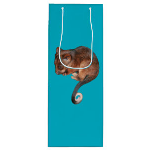 Adorable Baby Ringtail Possum in Australia Wine Gift Bag
