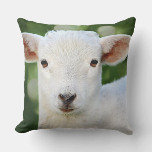 Adorable Baby Sheep Throw Pillow