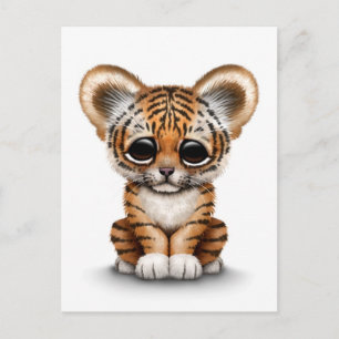 Adorable Baby Tiger Cub on White Postcard