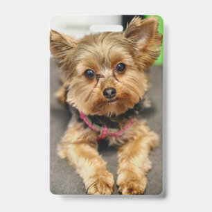 Adorable Badge