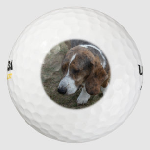 Adorable Basset Hound Golf Balls