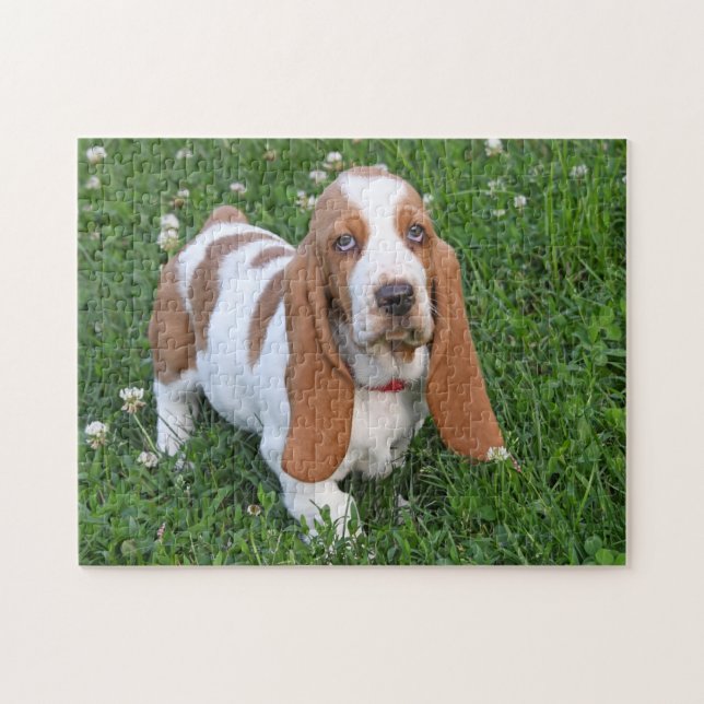 Adorable Basset Hound Puppy Jigsaw Puzzle (Horizontal)