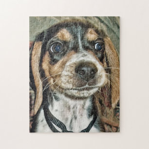 Adorable Beagle Puppy Jigsaw Puzzle