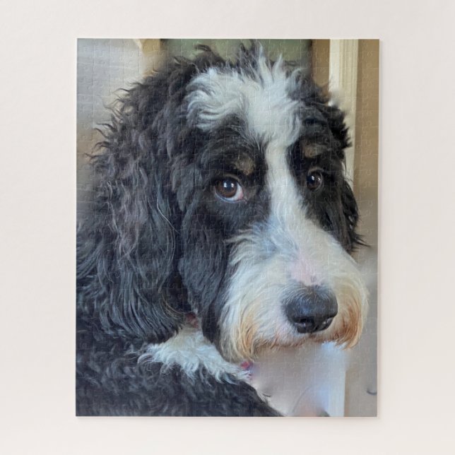 Adorable Bernedoodle Jigsaw Puzzle (Vertical)