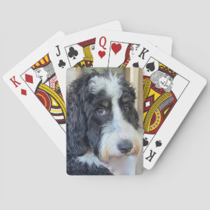 Adorable Bernedoodle Playing Cards