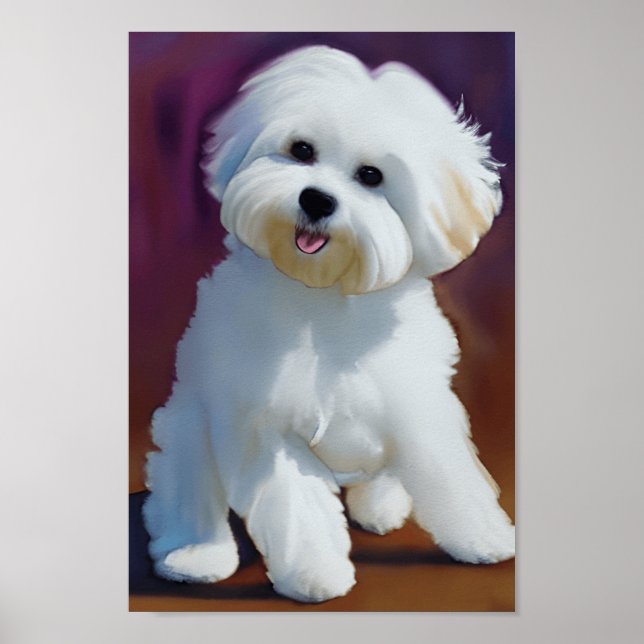 Adorable Bichon Havanese Puppy Watercolor  Poster (Front)