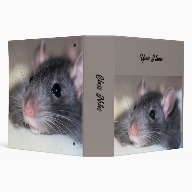 Adorable Binder (Background)