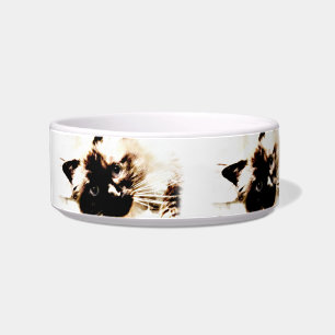 adorable Birman Cat Pet food cat bowl