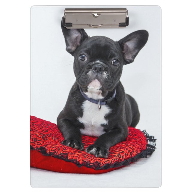 Adorable Black and White Bulldog Puppy Photo Clipboard (Front)