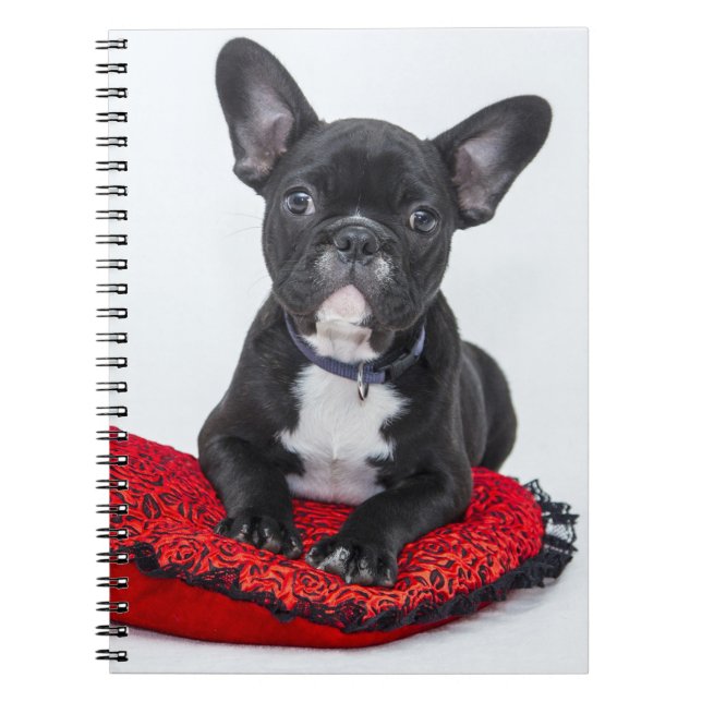 Adorable Black and White Bulldog Puppy Photo Notebook (Front)