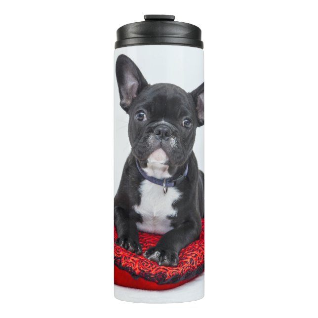 Adorable Black and White Bulldog Puppy Photo Thermal Tumbler (Front)