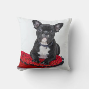 Adorable Black and White Bulldog Puppy Photo Throw Pillow