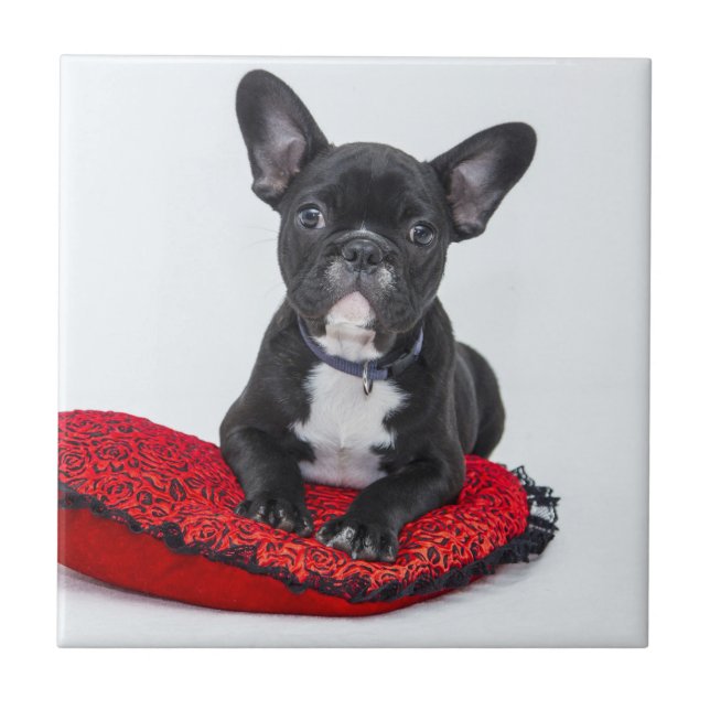 Adorable Black and White Bulldog Puppy Photo Tile (Front)