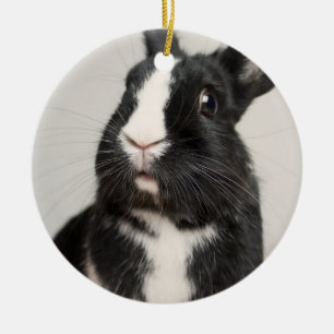 Adorable Black and White Bunny Rabbit Ceramic Ornament