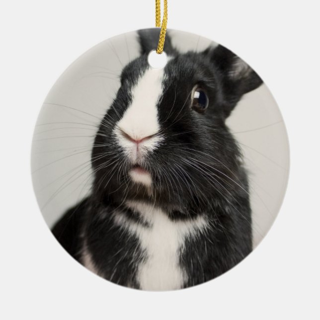 Adorable Black and White Bunny Rabbit Ceramic Ornament (Front)