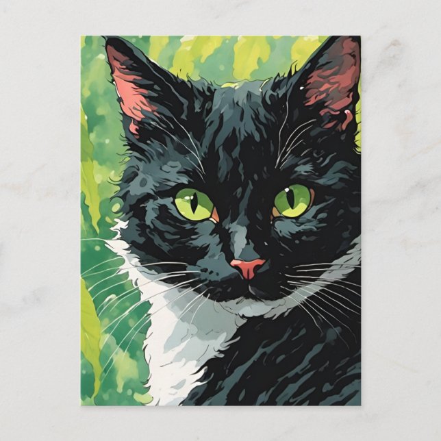 Adorable Black and White Cat Postcard (Front)