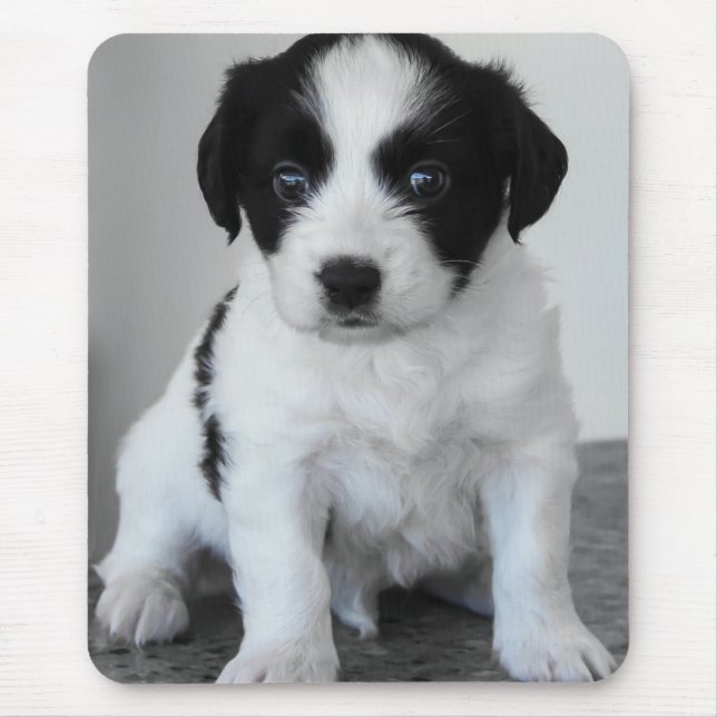 Adorable Black and White Puppy Mouse Pad (Front)