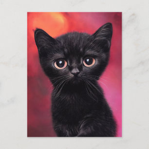 Adorable Black Kitten Postcard