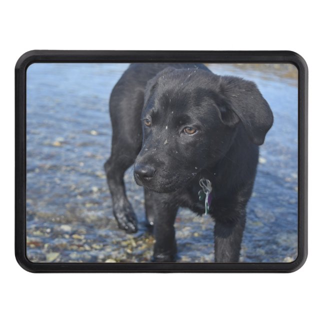 Adorable Black Lab Puppy Dog Trailer Hitch Cover (Front)