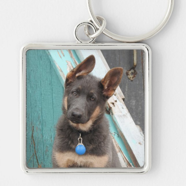 Adorable Blue German Shepherd Puppy Keychain (Front)