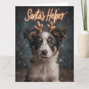 Adorable Border Collie Puppy as Santa's Helper Card